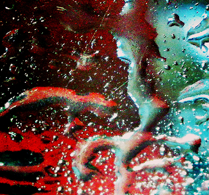 imagen 5. almudena villar 1